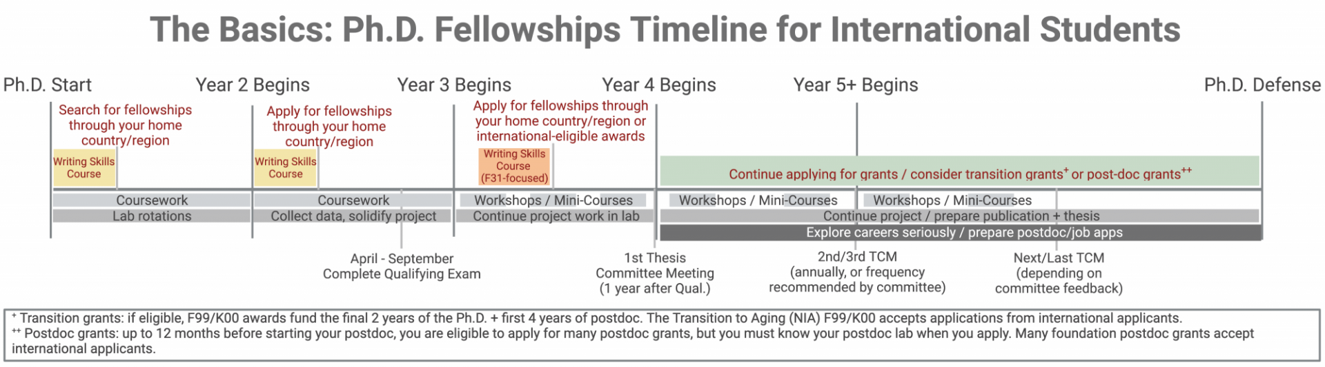 Ph.D. Basics for International students: shows milestones like searching and applying for grants from their home country/region, thesis committee meetings, and applying for transition and postdoc grants.
