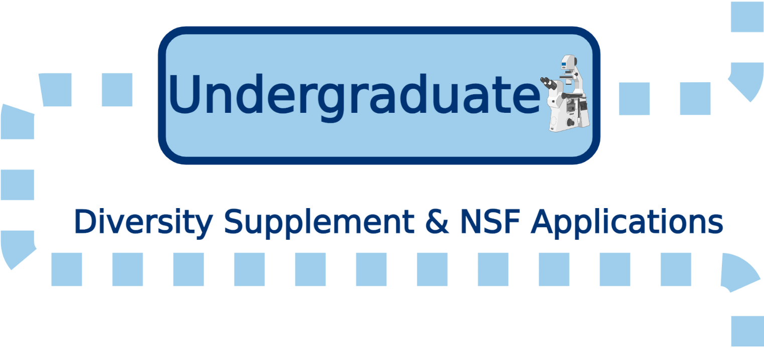 Funding Your Academic Path - Undergraduate stage. We help with diversity supplements and NSF applications