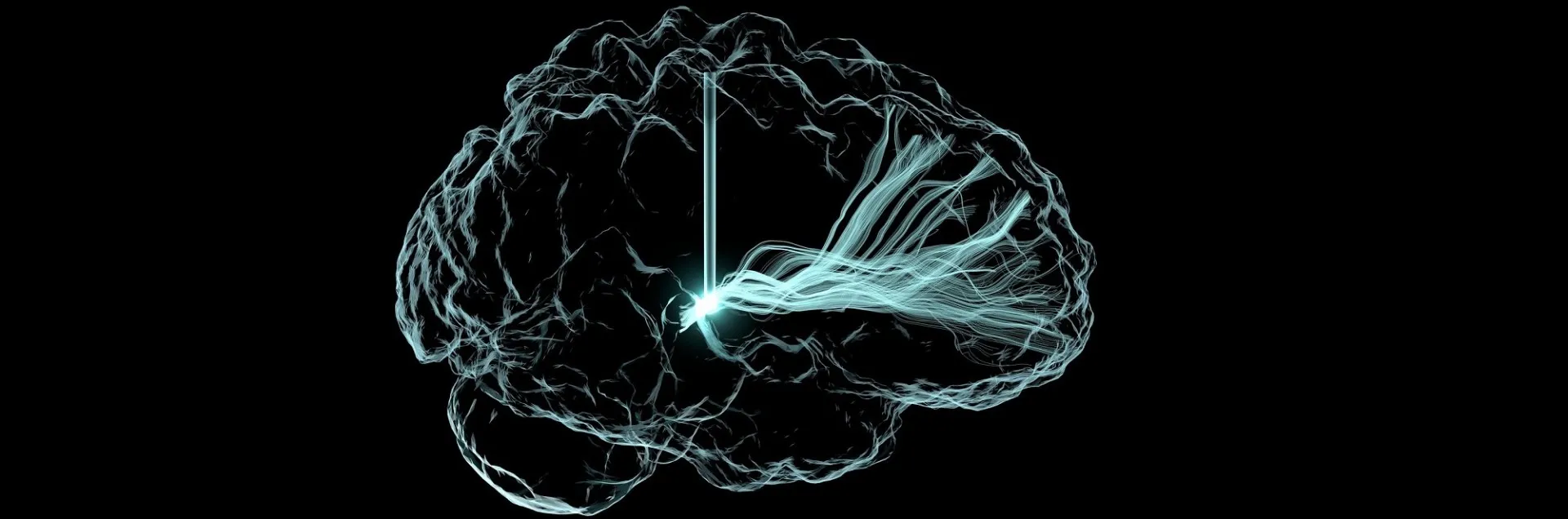 BRAIN Initiative photo contest winner - 2019. Light me up!