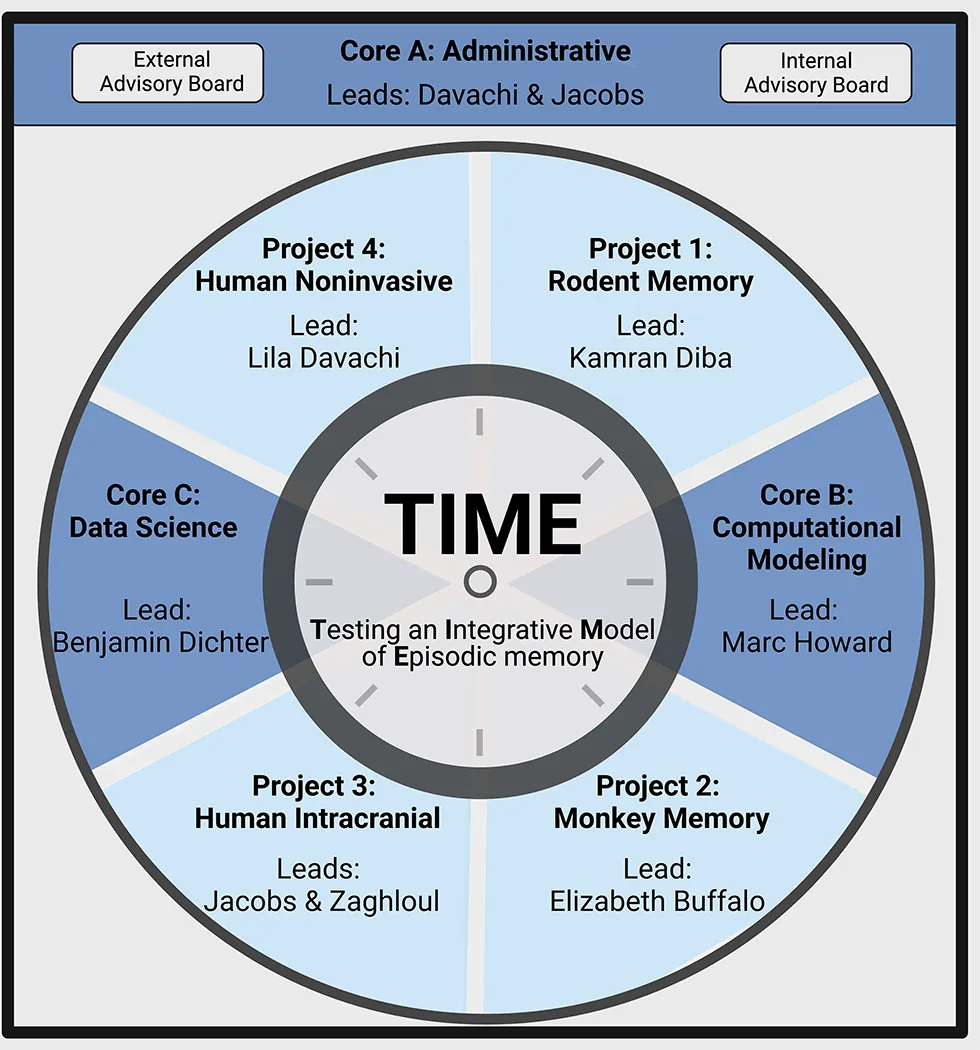 Organizational chart for the U19 "Testing an Integrative Model of Episodic Memory"