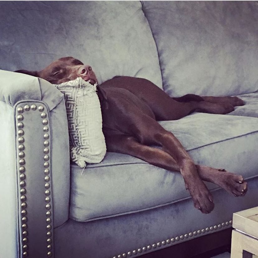 Photo of Ganache