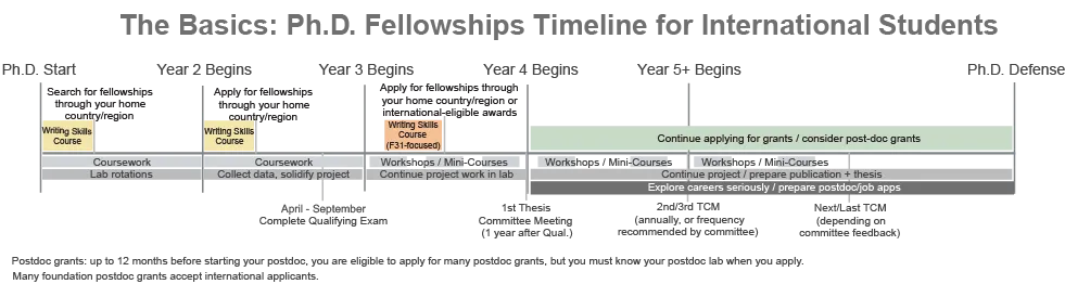 Ph.D. Basics for International students: shows milestones like searching and applying for grants from their home country/region, thesis committee meetings, and applying for transition and postdoc grants.